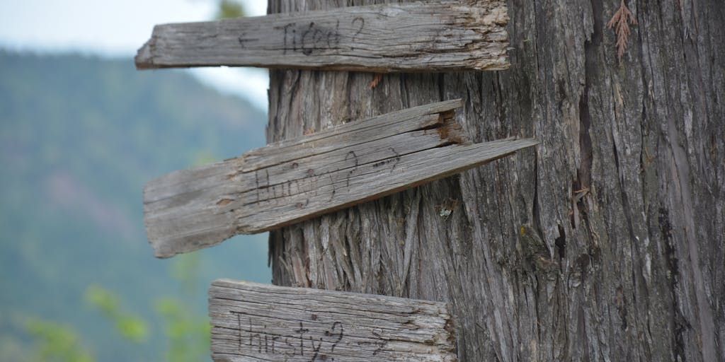 An artistic shot of a person standing at a crossroads with multiple signposts labeled with key questions to ask a lawyer, such as 'Experience?', 'Fees?', 'Specialization?'. This visual metaphor illustrates the decision-making process in finding the right trust and estate lawyer.