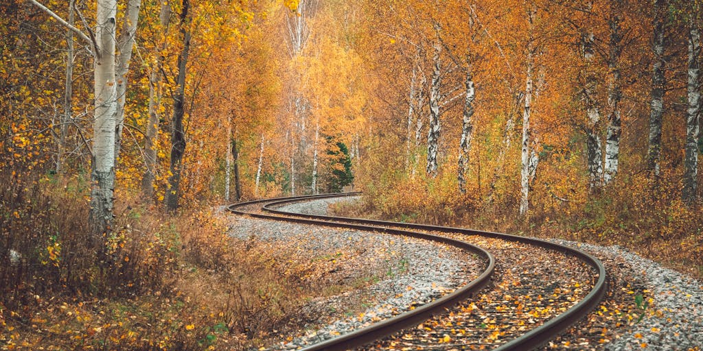 A serene landscape shot of a winding path through a lush forest, with the letters 'LLLP' subtly integrated into the natural scenery, perhaps formed by the arrangement of stones or fallen leaves along the path, symbolizing a journey of discovery.