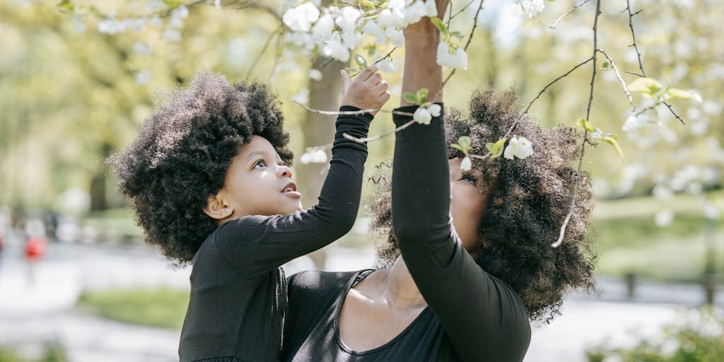 An artistic representation of a tree with two branches: one labeled 'Child Support' and the other 'Tax Deduction'. Each branch is adorned with leaves that represent different aspects of parenting and finance, symbolizing the complex relationship between child support and taxes.