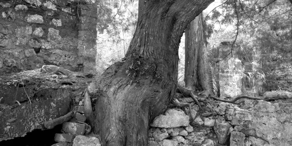 An artistic representation of a tree with roots labeled as 'child support', and branches representing various aspects of a child's life such as education, health, and happiness. This metaphorical image illustrates how child support nurtures a child's growth and development.