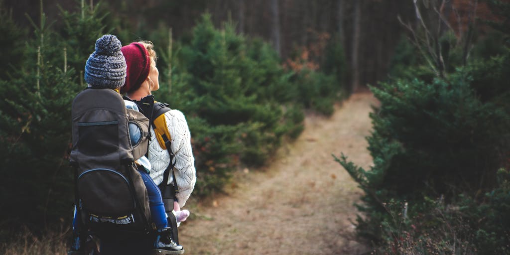An artistic representation of a parent and child holding hands, with the background fading from a colorful playground to a more subdued college campus. This visual metaphor captures the journey from childhood to adulthood and the implications for child support.